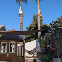 Trees For Sell 