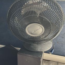 Fan