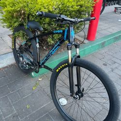 C100