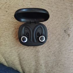 Billboard Ear Buds
