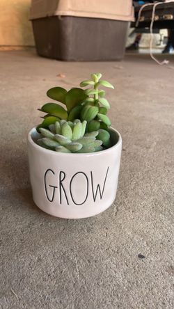 Rae Dunn decor