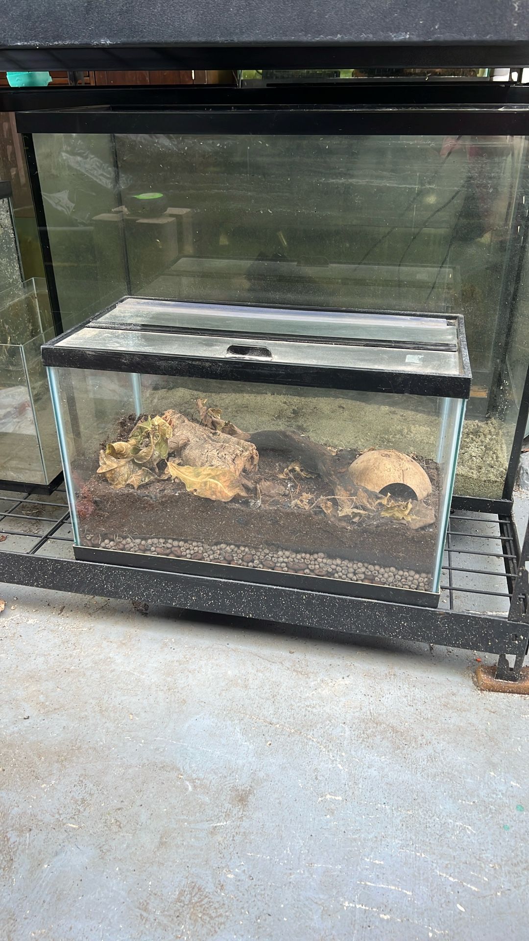 10 Gallon Glass Terrarium