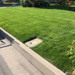 Gardening Services and Clean Ups