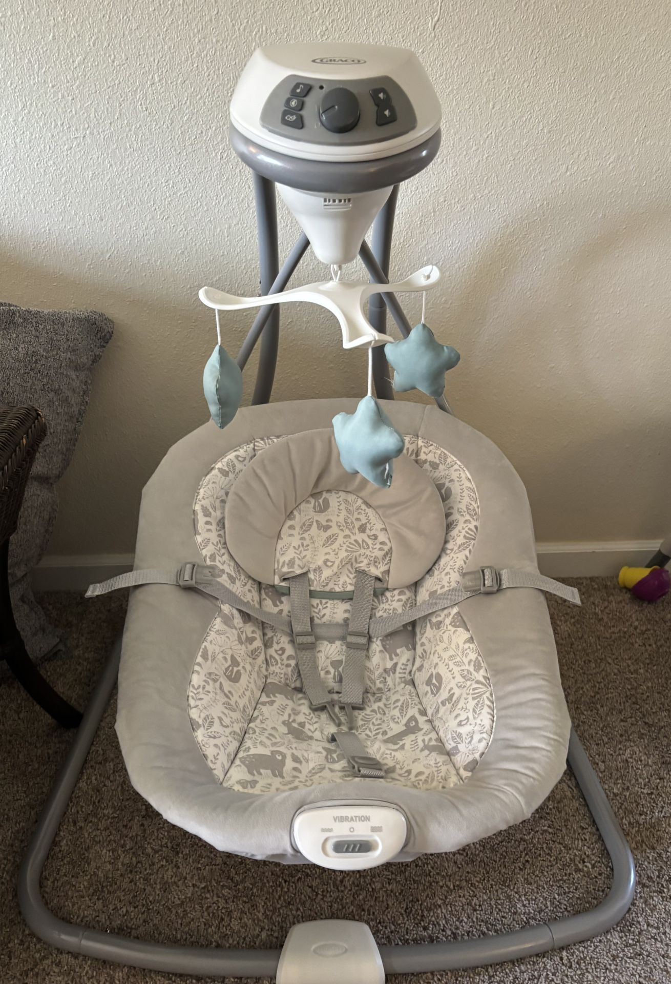 Graco Simple Sway Swing in Ivy