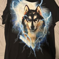 Balmain Shirt