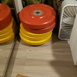 45 Pound Bumper Plates 1 Set
