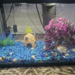 10 Galion Fish Tank