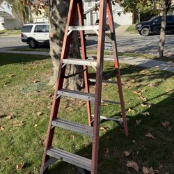 6 Foot Ladder