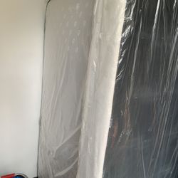 Brand New Twin Mattress And Box Spring