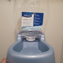 Water Bowl For Dogs Or Cats 