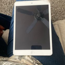 iPad Mini 