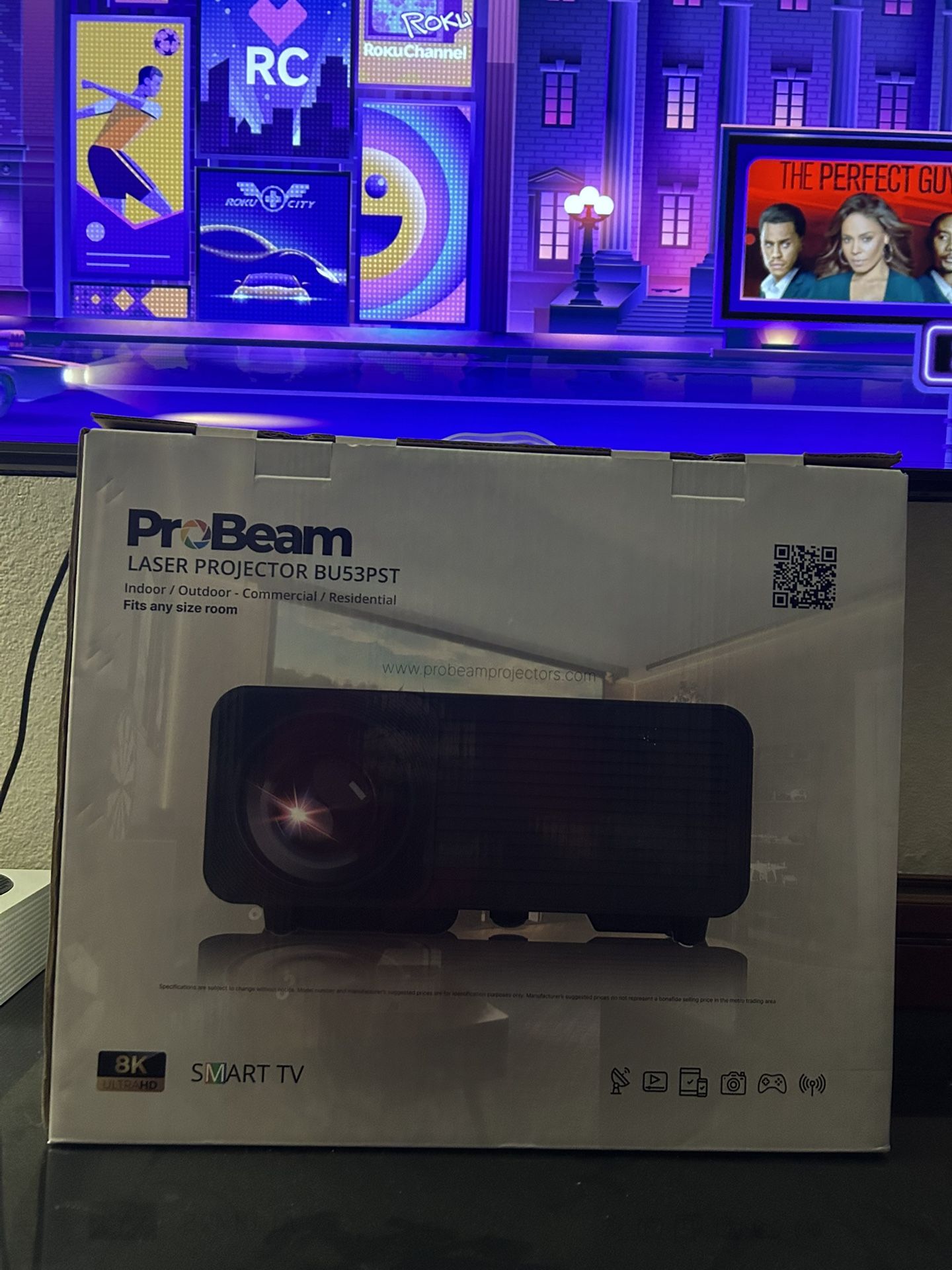 Full Projector Setup