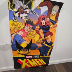 Xmen lot