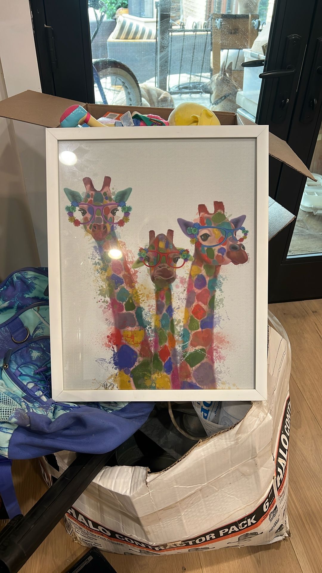 Giraffes In Glasses Frame Art