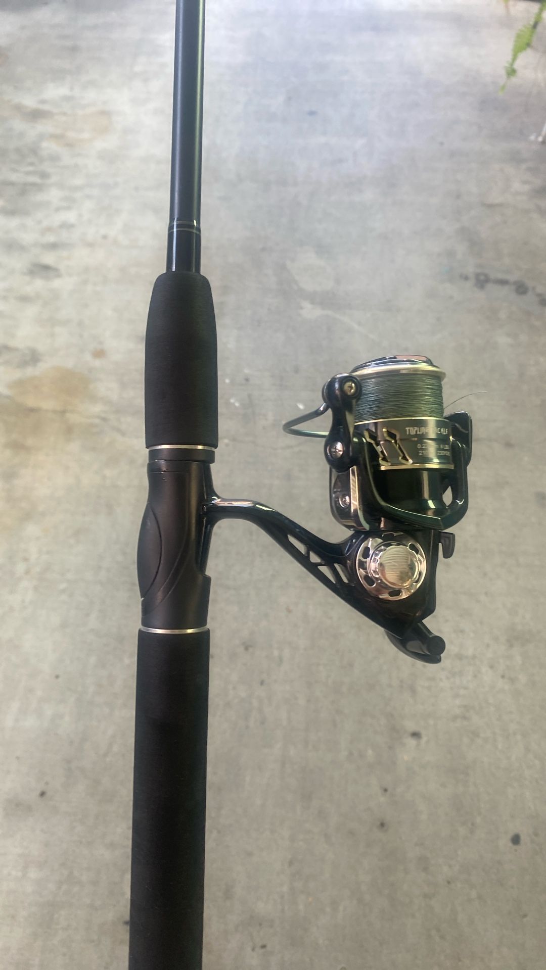 Roddy Limited Edition Rod And Top line Tackle Fishing Reel
