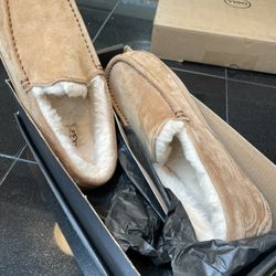 Size 8 Men’s Ugg Slippers Never Worn And Still In Box $100
