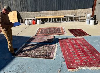 6 Oriental Rugs with $5K appraisal and newly cleaned