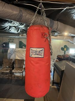 Everlast Boxing Bag
