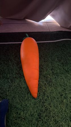 Real carrot squishy