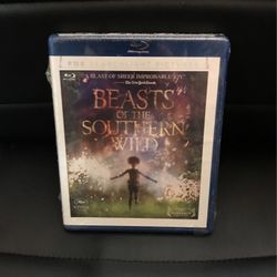 Beast Of Southern Wild Blu Ray/Dvd Combo