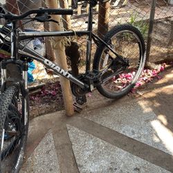 Bike Giant 2 Revel 