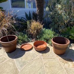 Terracotta Plant Containers 