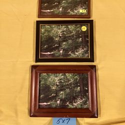 Scenic pictures at Riverview Park