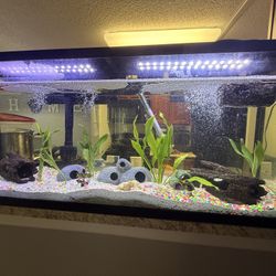 Selling 55 Gallon Fish Tank 