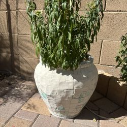 Large Pot /Planter With Flowers 