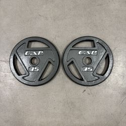 35lb Weight Plates