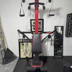 BowFlex PR3000 Home Gym 