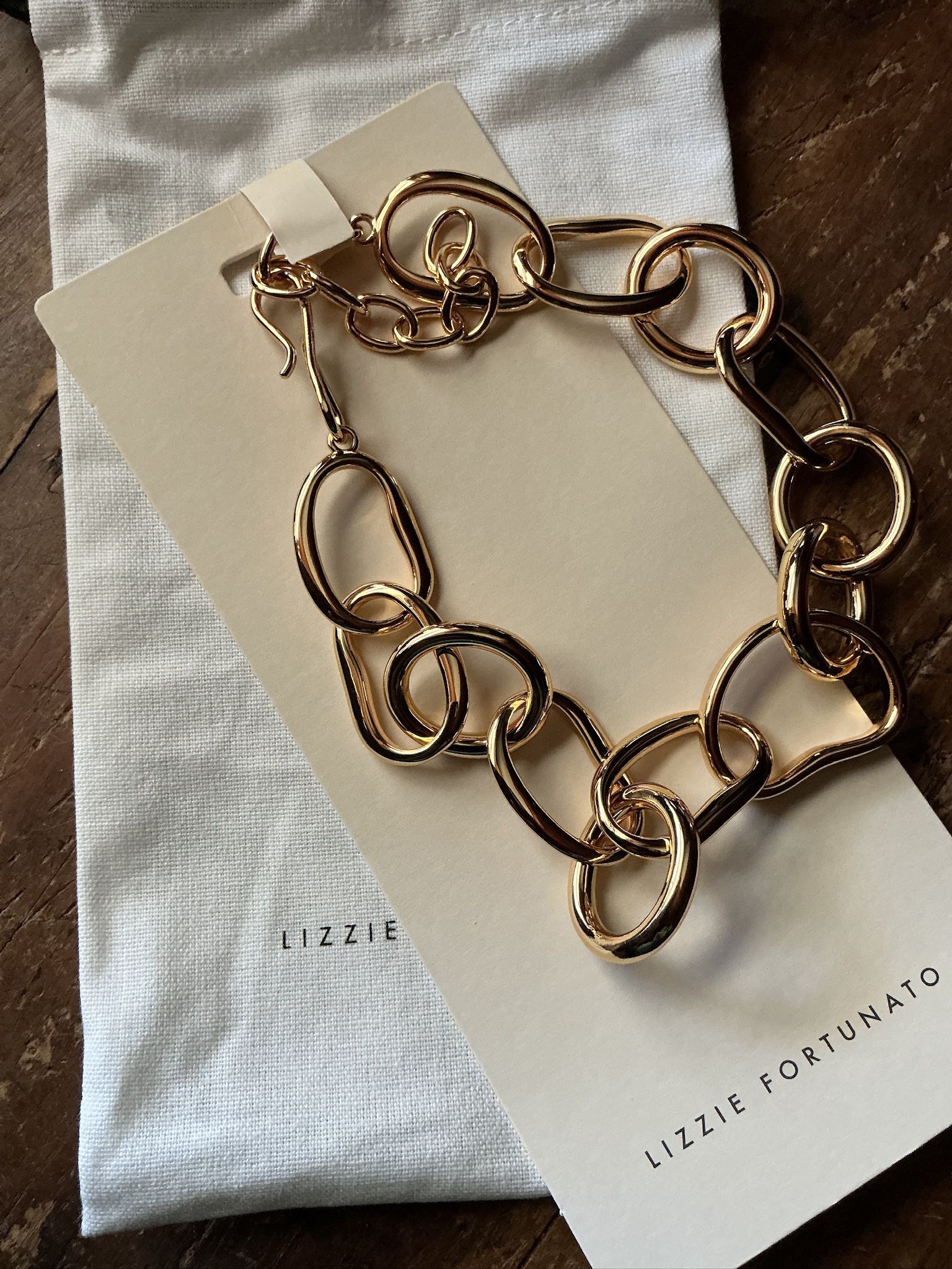 New Lizzy Fortunato Beacon Charm Necklace !