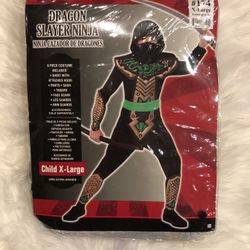 Dragon Slayer Ninja Child Costume