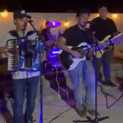 Acordeon y Grupo