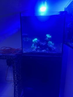 25 Gallon Fish Tank With Light 