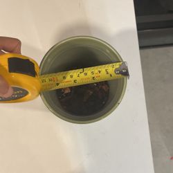 Green Plant Pot 5 Inches Diameter 