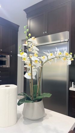White or purple orchids