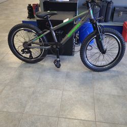 SCHWINN BOYS BIKE - S0984DSGC 