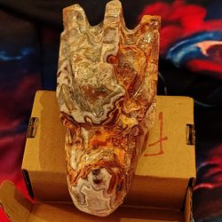 Dragon head  Mexican crazy lace agate