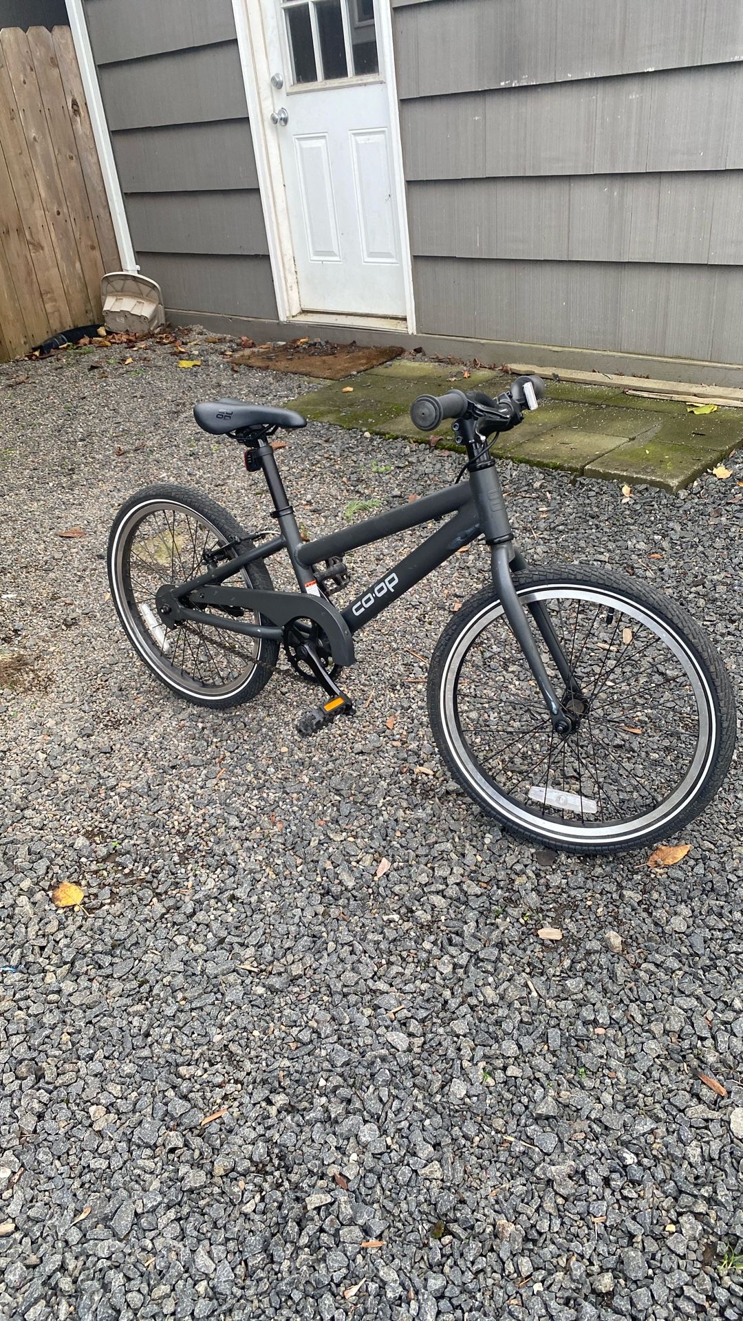 REI rev 20 Kids Bike