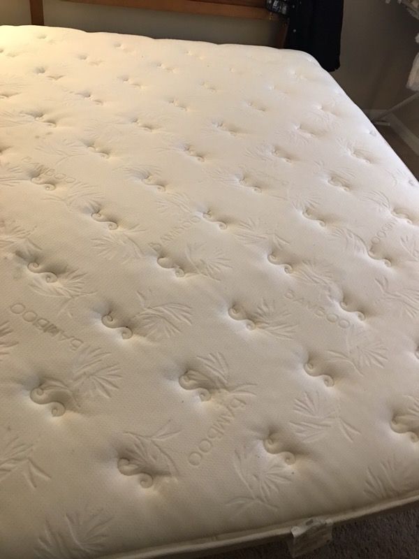 It’s a Serta Cupertino perfect sleeper bamboo mattress