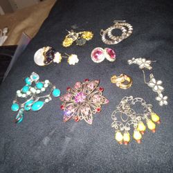 Brooches Earrings 