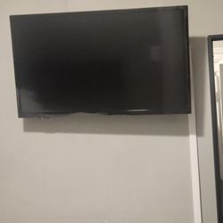 40' Insignia Smart TV w/Swivel Mount  