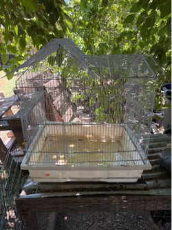 Bird cage