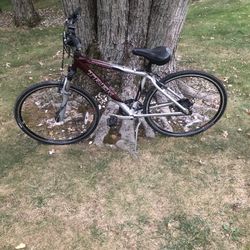 28” Trek Hybrid Bike