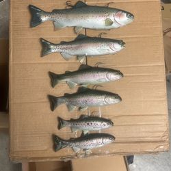 Swimbaits for sale