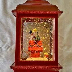 Peanut Light Up  Latern 