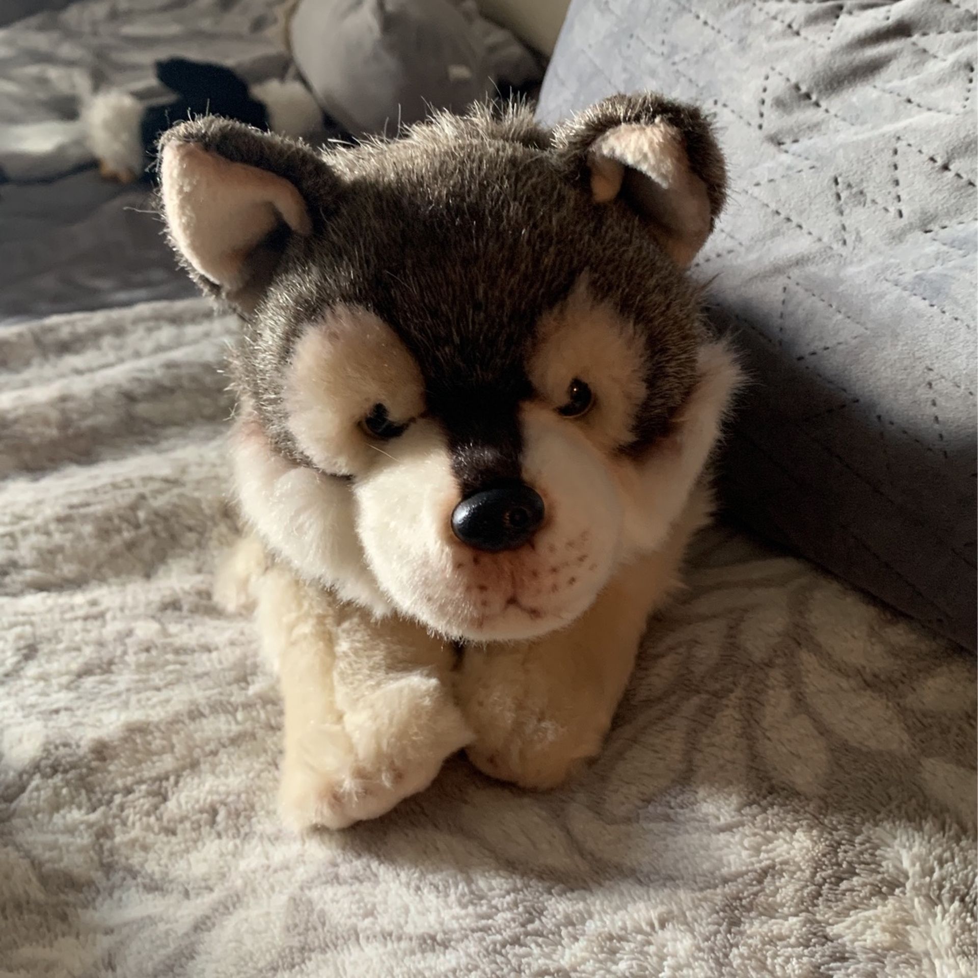 wolf plushie