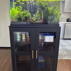 40 gal Tropical Aquarium With Stand (fish included)