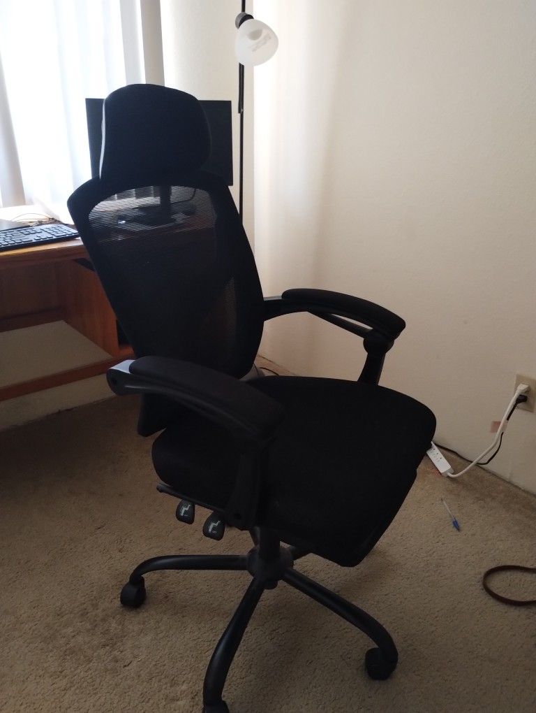 Ergonomic Desk Chair